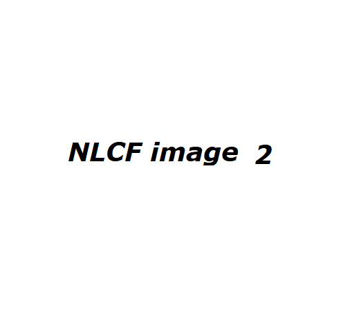 test 44
