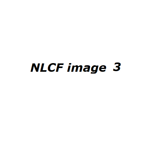 test 44